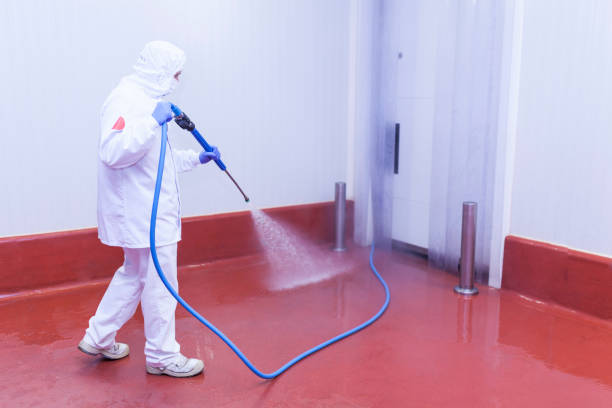 Best Gutter Cleaning and Brightening in Wellington, TX